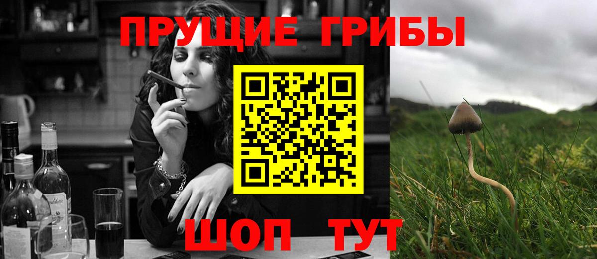 Россия  Галлюциногенные грибы Magic Shrooms  Галлюциногенные грибы ЛСД  как найти   Вход с VPN 