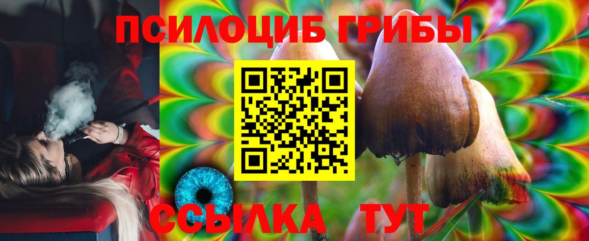 Псилоцибиновые грибы мухоморы Россия
